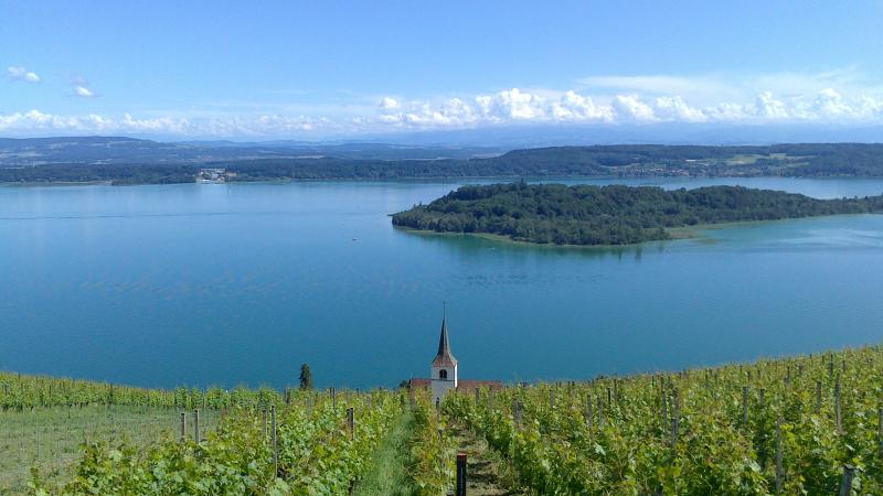 Saisonbeginn - der Bielersee und seine Weine